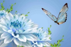 blue-butterfly-on-a-flower-700x394